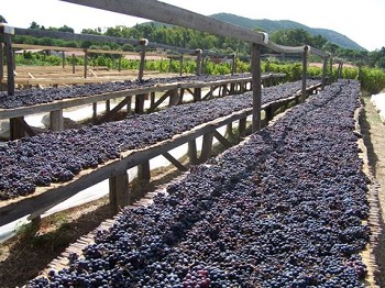 aleatico dell'Isola d'Elba