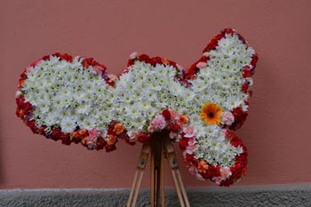 festa dei fiori Porto Azzurro Isola d'Elba