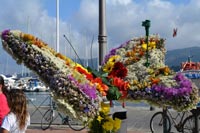 Porto Azzurro festa dei fiori isola d'Elba