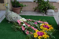 festa dei fiori Porto Azzurro