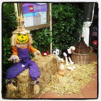 Festa del Contadino Porto Azzurro