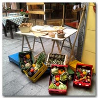 Festa del Contadino Porto Azzurro