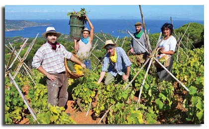 festa uva capoliveri isola d'elba